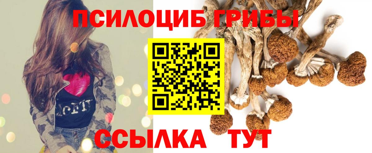 А ПВП Миллерово